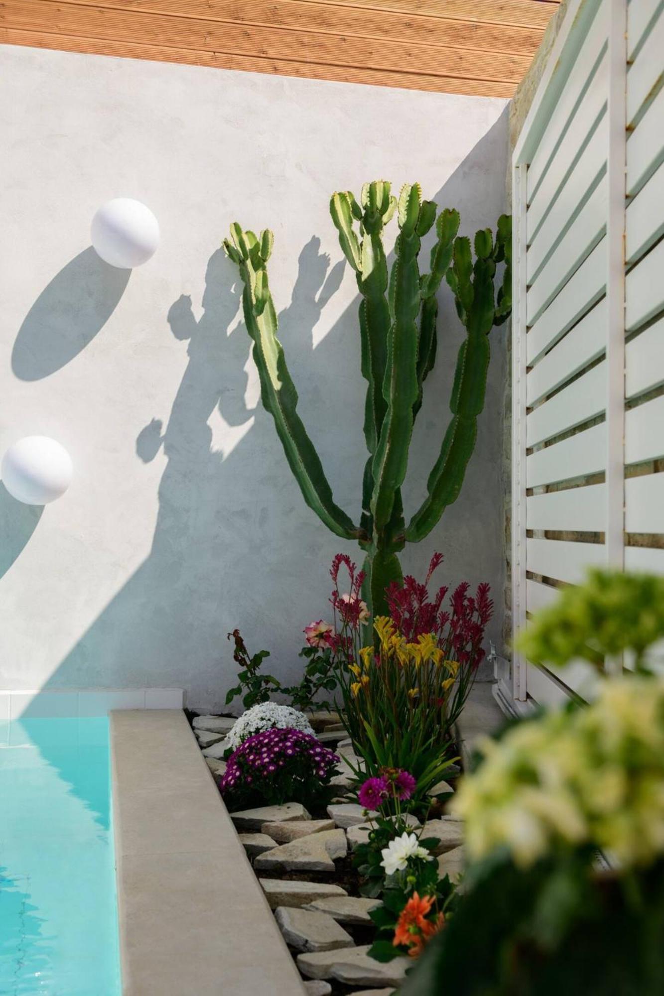 Chrisanthi Elegant Villa ピツイディア エクステリア 写真